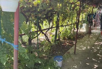 Casă cu 4 camere în Romanu - 3