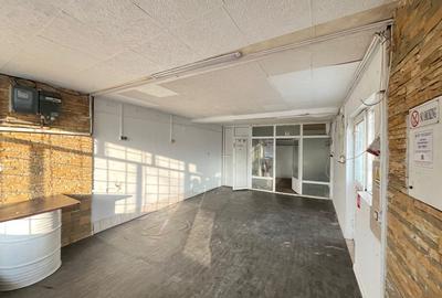 Spațiu comercial, de 60 mp, în Delfinariu - 2