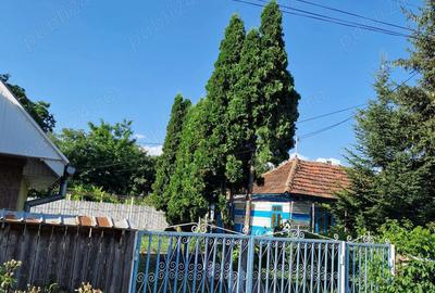 Casă cu 2 camere în Cozia - 6