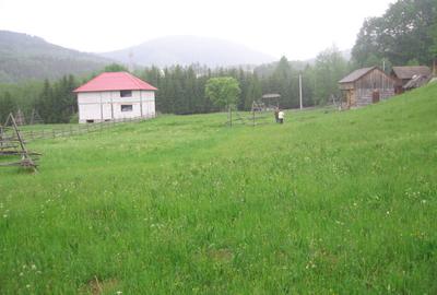 Teren de 4080 mp, în Valea Doftanei - 12