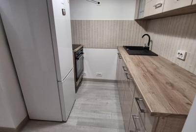 Apartament mobilat si utilat in Rin Grand Hotel- Vitan Barzesti - 17