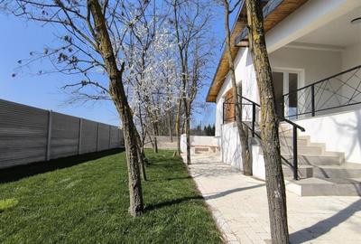 Casa de Snagov Tancabesti - 4