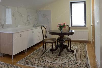 Garsoniera de inchiriat in zona Victoriei Garsoniera de inchiriat in zona Victoriei - 2