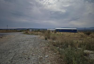 Teren intravilan - 1070 mp - str. Ciocarlau - spre Preajba Teren intravilan - 1070 mp - str. Ciocarlau - spre Preajba - 8