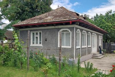 Casă cu Teren 1200 Mp în Zănești - 3