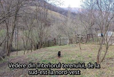 Proprietar vând teren intravilan 1491 mp Băile Herculane (Pecinișca-Păstrăvărie) - 7