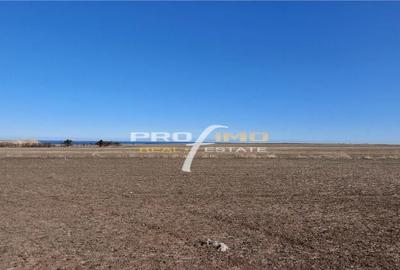 Teren 1600 mp. la cc.1km.de Mare - Eforie Sud-Castelul de Ap - 2