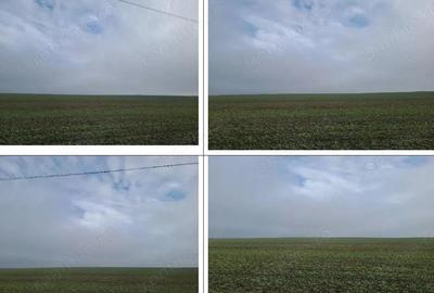 Teren extravilan Orbeasca, ID: R2836912 - 6