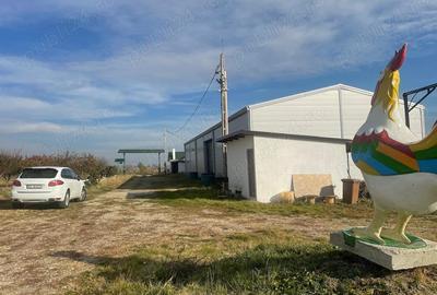 Teren de 370000 mp, în Pietroasele - 1