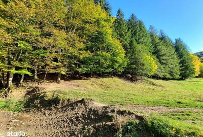 Teren de 7160 mp, în Central