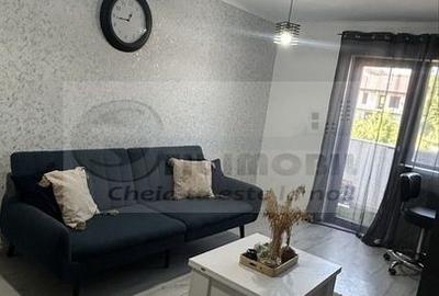 Apartament cu 2 camere sd, zona Visan - Profi - 80.000 euro - 5