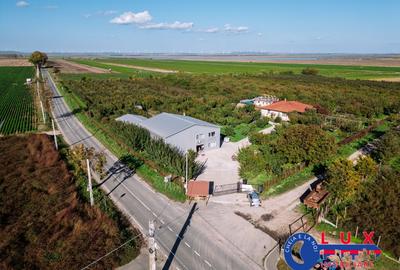 Teren de 44999 mp, în Sabangia - 2