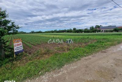 Teren de 7500 mp, în Bălești - 3