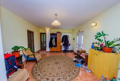 CASA DE VIS SAU AFACERE DE SUCCES BAIA SPRIE - 4