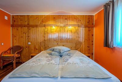 VILA SCANDINAVIA / Pensiune / Moieciu de Sus - 15