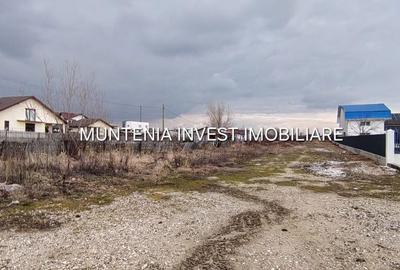 Teren de 7000 mp, în Bradu - 7
