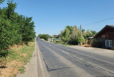 Teren în Berceni - 14