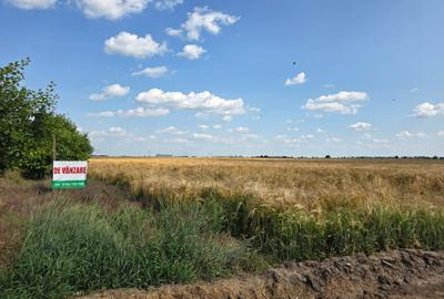 Teren Construcții intravilan de 12651 mp, în Sud