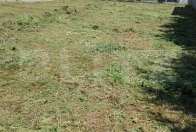 Teren de 1027 mp, în Dumbrăvița