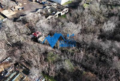 Teren intravilan BIDIDIA, zona deosebita, 550MP - 4