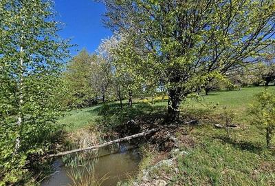 Pensiune in jud. Buzau, loc Ivanetu| Constructie lemn|Pozitionare impresionanta - 45