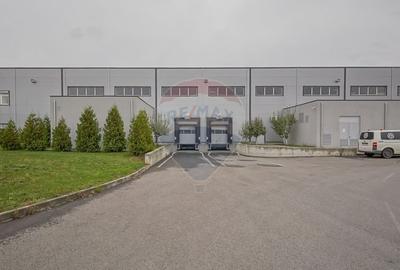 Hală industrială 5.000–12.000 mp de închiriat, Ghimbav - 4