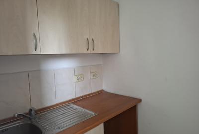 Apartament cu 3 camere de inchiriat in zona Piata Alba Iulia - Burebista - 9