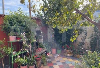 Casă individuală cu 4 camere cu Teren 303 Mp în Lascăr Catargiu - 13