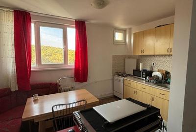 Garsonieră decomandată, mobilată în Mănăștur - 6