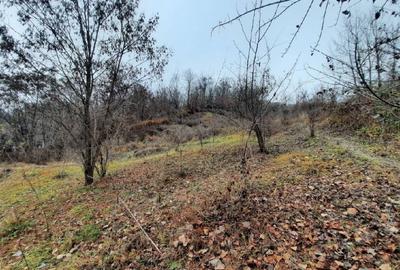 Teren intravilan de 4488 mp, în Exterior Nord - 3