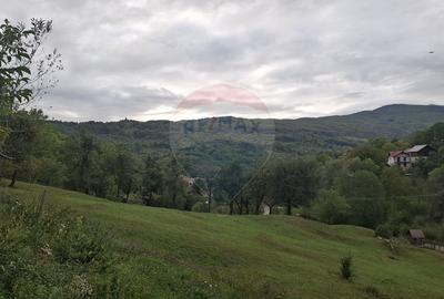 Teren cu priveliste spectaculoasa, 4000mp, la 18km de Sinaia Teren cu priveliste spectaculoasa, 4000mp, la 18km de Sinaia - 4