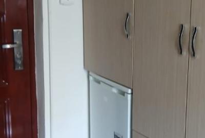 Minigarsoniera- 12 mp- Tractorul- lanfa Coresi Mall - 3