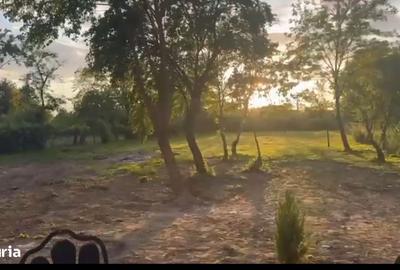 Casă cu 3 camere în Băcia - 7