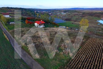 Oportunitate de Investitie - Teren intravilan 4.270 mp cu PUZ  Ocna Sibiului - 10