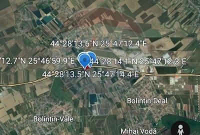 Teren Construcții intravilan de 11842 mp, în Bolintin-Deal - 13