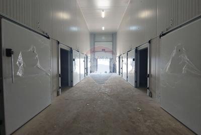 Spațiu industrial, de 587 mp, în Șcheia - 21