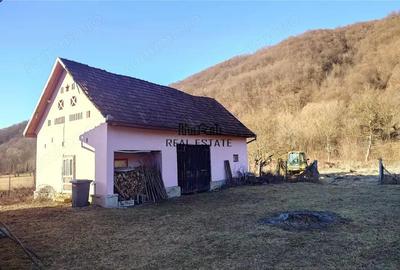 Proprietate in Apuseni - fosta pizzerie, ideala pentru afacere sau locuinta - 8