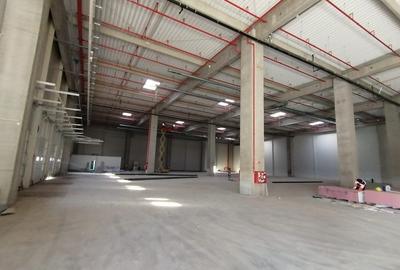 Spatii logistice Bacau - 2