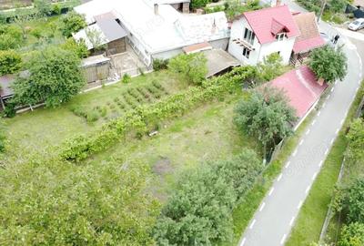 Casa in Co?teiu, teren de 1500 mp, la pret de apartament in Lugoj - 9