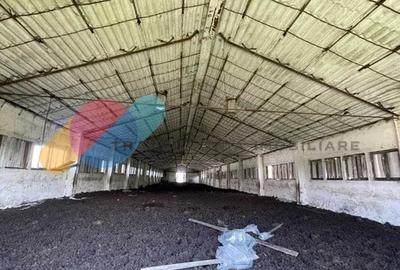 Teren Construcții intravilan de 16382 mp, în Mihăiești - 13