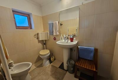 Casă individuală cu 2 camere cu Canalizare în Bucureștii Noi - 10