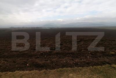 Teren extravilan 21300 mp zona Vintu de Jos - 3