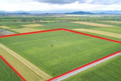 Teren Industrial - 1