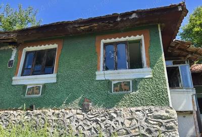 Casă în Sohodol - 5