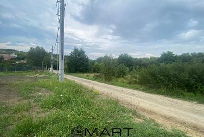 Teren 8000mp Daia noua - 3