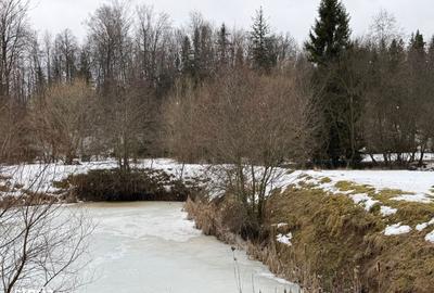 Teren de 3600 mp, în Horodnic - 9