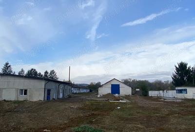 Spațiu comercial, de 5,000 mp, în Drăgăești-Ungureni - 3