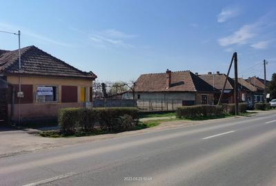 Sancraiu de Mures - 1617 mp - Principala - front 20 metri - 7