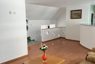 3 Spatii comerciale si un apartament la mansarda central - 4