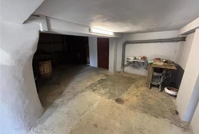 VILA DEOSEBITA IN SLATINA - LUNCANI - OAZA DE LINISTE LA MARGINEA PADURII - 23
